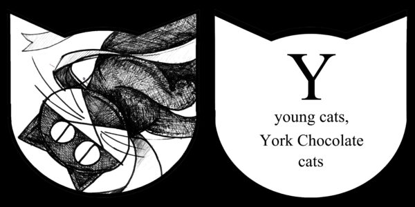 The ABC's of Cats - Image 4